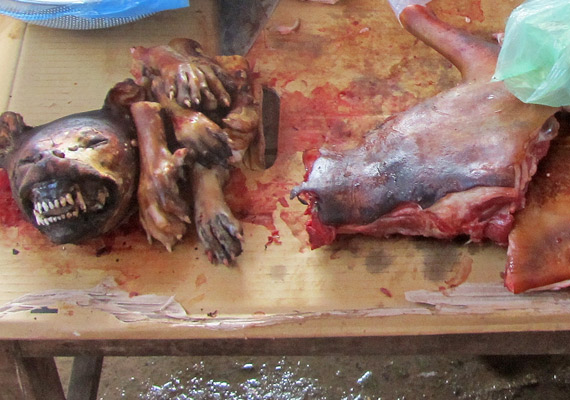 Hundefleisch auf einem Markt in Vietnam - durch Vietnam Reisen mit ein paar Wörtern Vietnamesisch online 